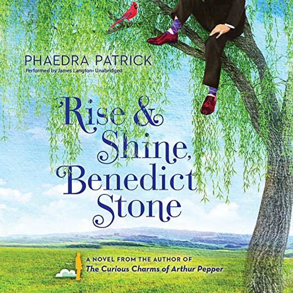 Cover Art for 9781538409176, Rise and Shine, Benedict Stone: Library Edition by Unknown