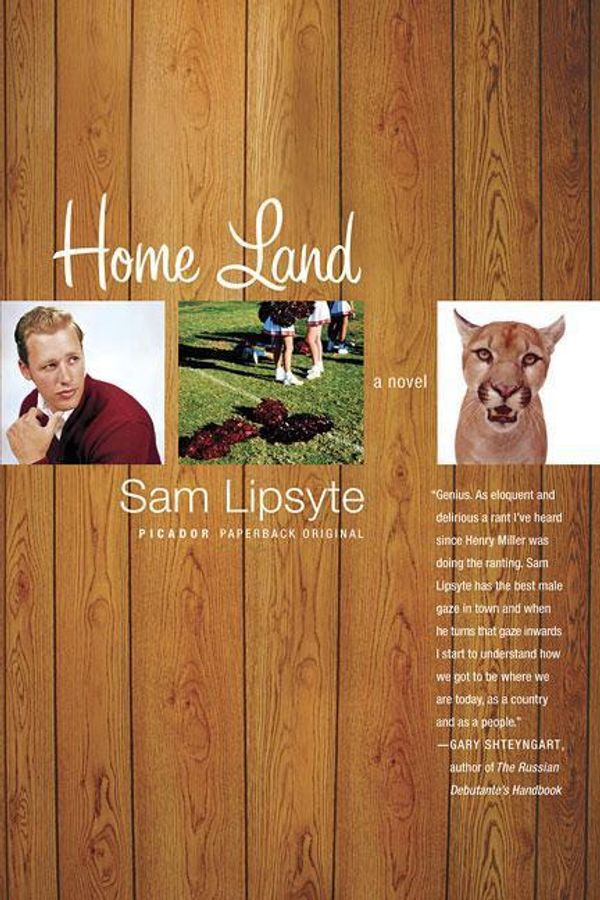 Cover Art for 9780312424183, Home Land by Sam Lipsyte