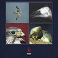 Cover Art for 9780632041862, Birds of Prey by M. Heidenreich