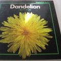 Cover Art for 9780382094422, Dandelion by Barrie Watts
