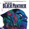 Cover Art for 9781302908843, Rise of the Black Panther by Evan Narcisse