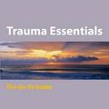 Cover Art for 9780393706208, Trauma Essentials by Babette Rothschild