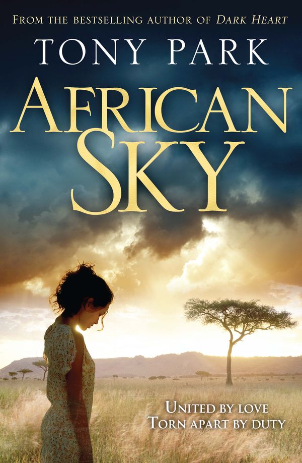 Cover Art for 9780857386687, African Sky by Tony Park