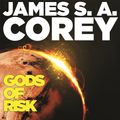 Cover Art for 9781405550901, Gods of Risk by James S.A. Corey