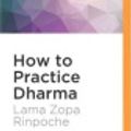 Cover Art for 9781522691280, How to Practice Dharma: Teachings on the Eight Worldly Dharmas by Subhash Mandal