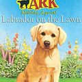 Cover Art for 9780340873885, Labrador on the Lawn by Lucy Daniels