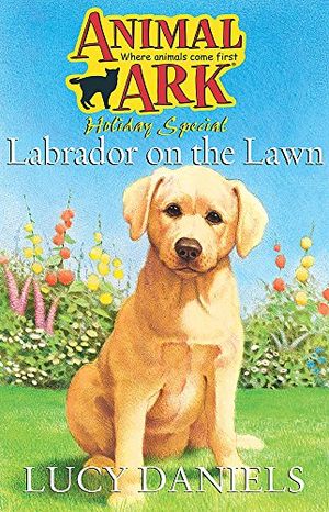 Cover Art for 9780340873885, Labrador on the Lawn by Lucy Daniels