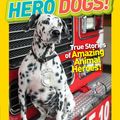 Cover Art for 9781426328213, National Geographic Kids Chapters: Hero Dogs by Mary Quattlebaum