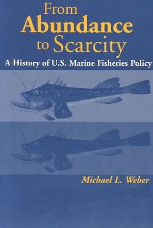 Cover Art for 9781559637060, From Abundance to Scarcity by Michael L. Weber