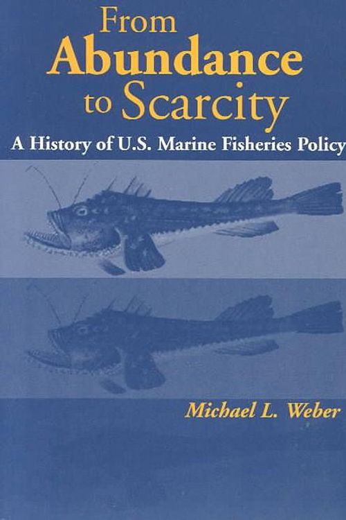 Cover Art for 9781559637060, From Abundance to Scarcity by Michael L. Weber