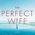 Cover Art for 9780593156803, The Perfect Wife: A Novel by Jp Delaney