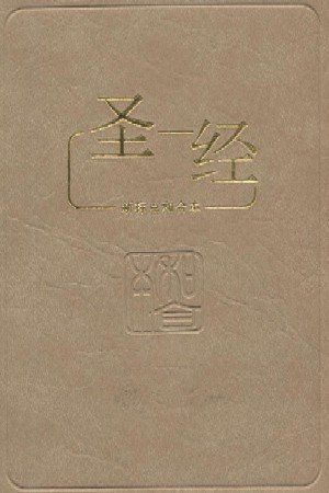 Cover Art for 9789812200570, various by Chinese Union Version Bible