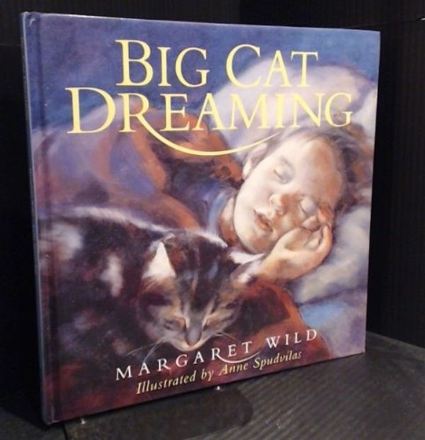 Cover Art for 9781550374933, Big Cat Dreaming by Margaret Wild