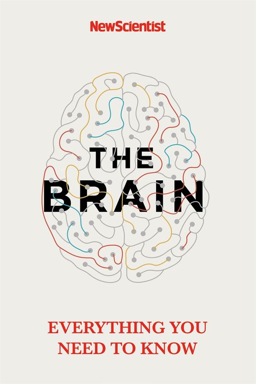 Cover Art for 9781473629370, The Brain: A User's Guide by New Scientist
