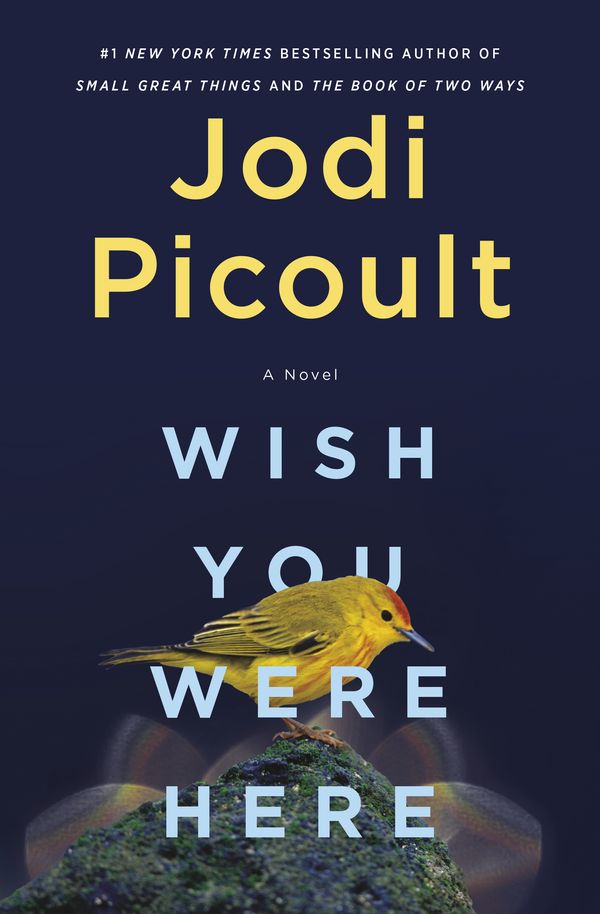 Cover Art for 9781984818416, Wish You Were Here by Jodi Picoult