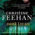 Cover Art for 9780349401935, Dark Lycan: Number 24 in series by Christine Feehan