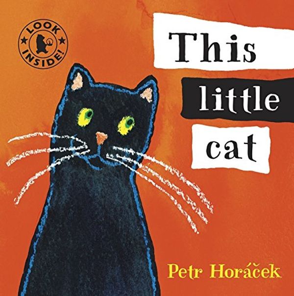 Cover Art for 9781406325119, This Little Cat by Petr Horacek