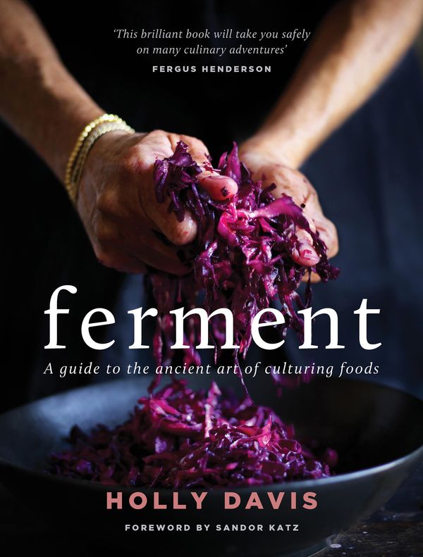 Cover Art for 9781760639204, Ferment by Holly Davis