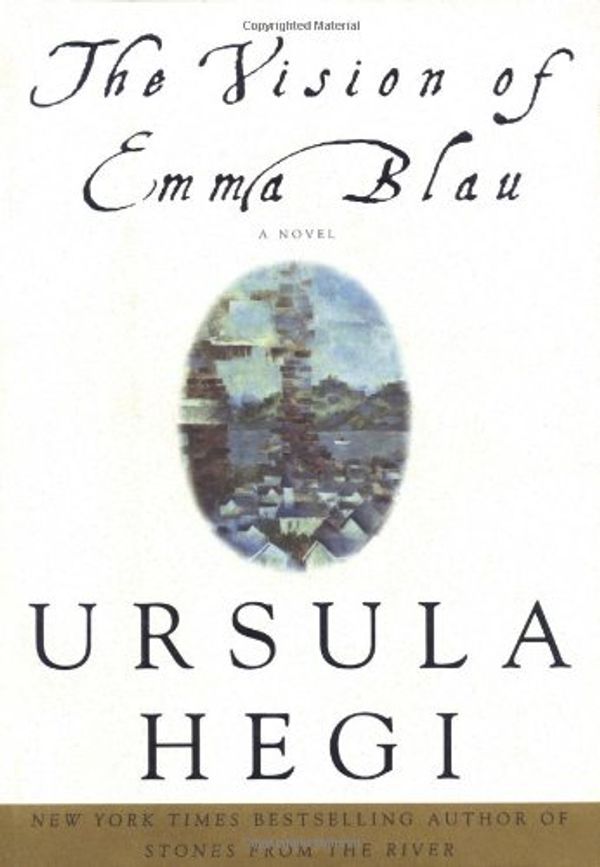 Cover Art for 9780684829975, The Vision of Emma Blau by Ursula Hegi