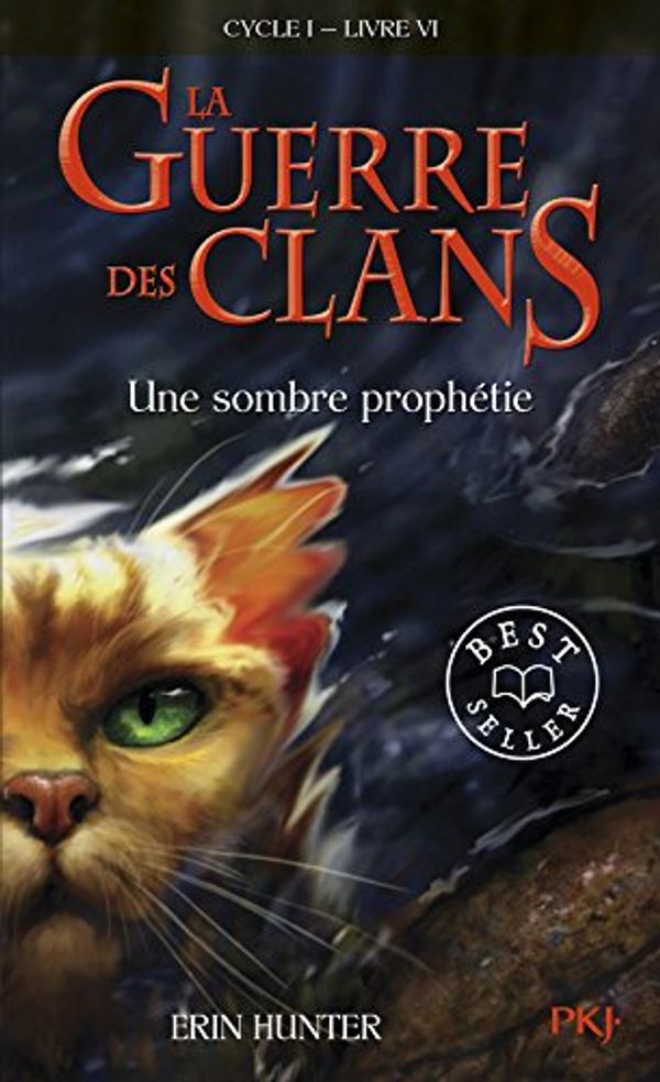 Cover Art for 9782266208178, La Guerre DES Clans 6/Une Sombre Prophetie by Erin Hunter