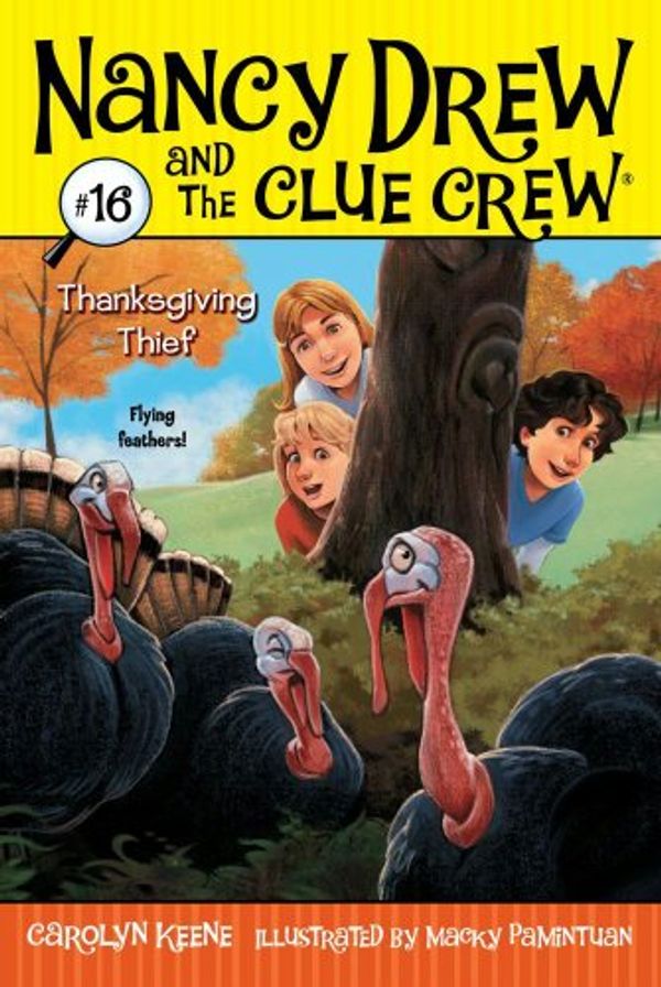 Cover Art for B006JDFIFE, Thanksgiving Thief (Nancy Drew and the Clue Crew Book 16) by Carolyn Keene