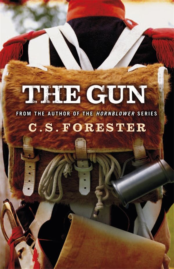 Cover Art for 9780753829141, The Gun by C S Forester