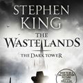 Cover Art for 9781848941113, The Dark Tower III: The Waste Lands: (Volume 3) by Stephen King