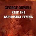 Cover Art for 9788834113165, Keep the Aspidistra Flying by Orwell, George