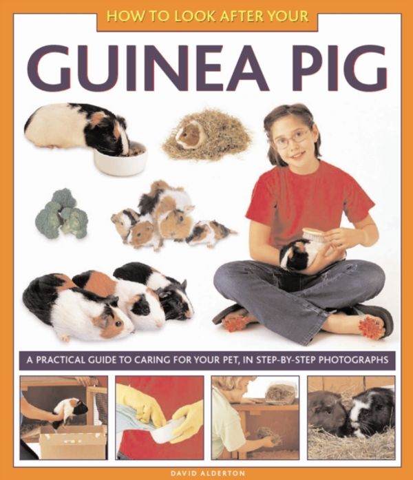 Cover Art for 9781843227687, How to Look After Your Guinea Pig by David Alderton
