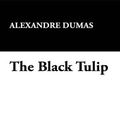 Cover Art for 9781434495402, The Black Tulip by Alexandre Dumas