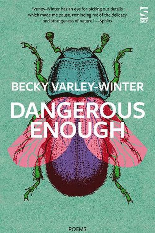 Cover Art for 9781784632960, Dangerous Enough (Salt Modern Poets) by Ms Becky Varley-Winter