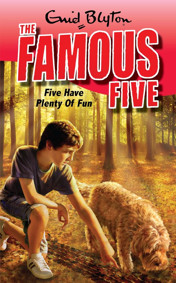 Cover Art for 9780340931721, Famous Five: Five Have Plenty Of Fun: Book 14 by Enid Blyton