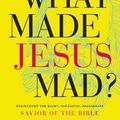 Cover Art for 9781400208609, What Made Jesus Mad?: Rediscover the Blunt, Sarcastic, Passionate Savior of the Bible by Dr. Tim Harlow