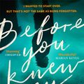 Cover Art for 9780751581669, Before You Knew My Name by Jacqueline Bublitz