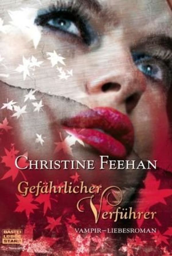Cover Art for 9783404773060, Gefährlicher Verführer by Christine Feehan, Katja Thomsen