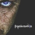 Cover Art for 9781612930497, Frankenstein by Mary Shelley