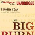 Cover Art for 9781441806963, The Big Burn by Timothy Egan