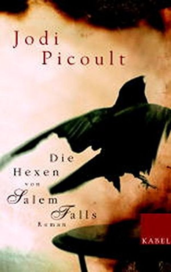 Cover Art for 9783822505878, Die Hexen von Salem Falls. by Jodi Picoult