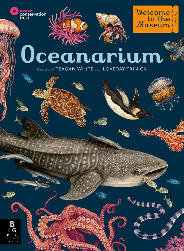 Cover Art for 9781787416314, Oceanarium: by Loveday Trinick (Author), Teagan White (Illustrator) by Loveday Trinick