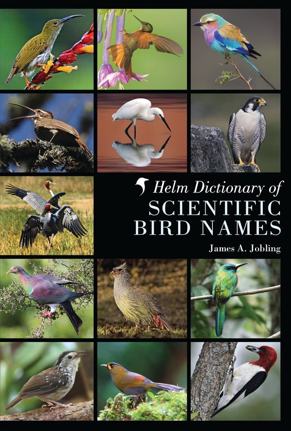 Cover Art for 9781408125014, Helm Dictionary of Scientific Bird Names by James A. Jobling