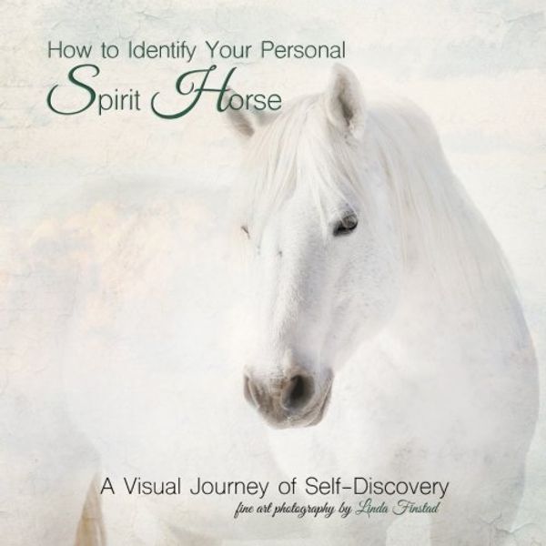 Cover Art for 9781986663526, How to Identify your Personal Spirit Horse: A Visual Journey of Self-Discovery: Volume 1 by Linda Finstad