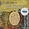 Cover Art for 9780815345725, Essential Cell Biology by Bruce Alberts