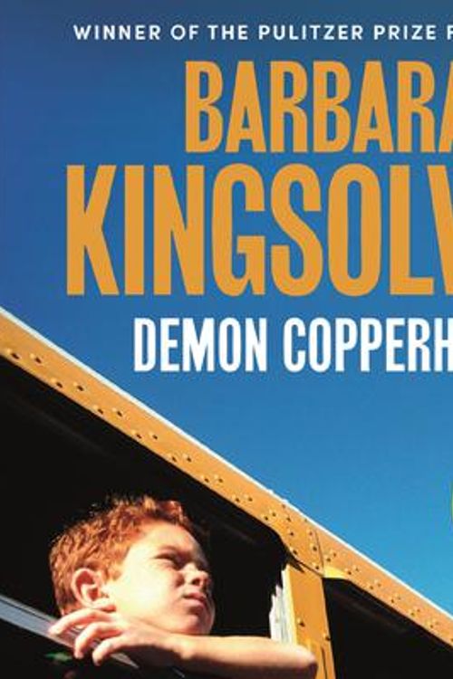 Cover Art for 9780571376506, Demon Copperhead by Barbara Kingsolver