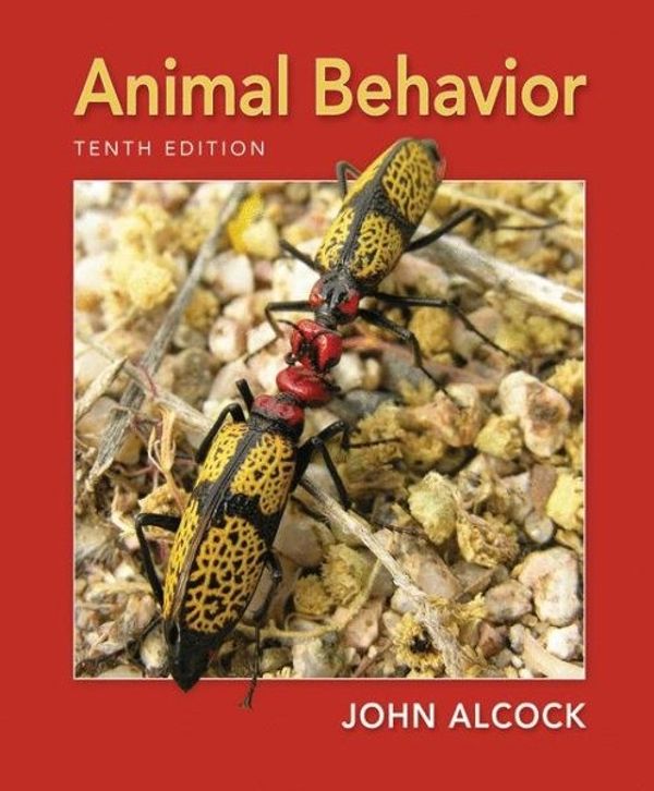 Cover Art for 9780878939664, Animal Behavior by John Alcock