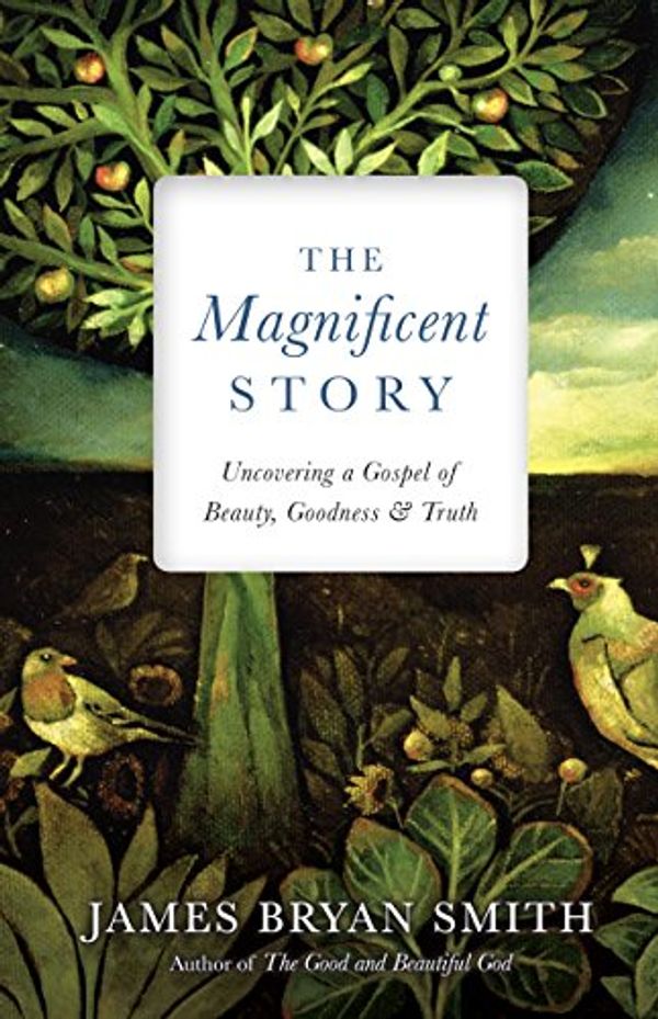 Cover Art for B073SB97G4, The Magnificent Story: Uncovering a Gospel of Beauty, Goodness, and Truth (Apprentice Resources) by James Bryan Smith