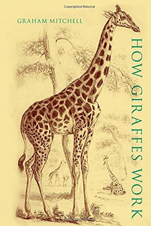 Cover Art for 9780197571194, How Giraffes Work by Graham Mitchell