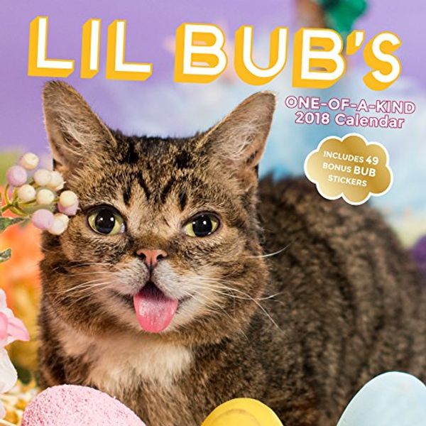 Cover Art for 9781419725241, Lil Bub 2018 Wall Calendar 2018 (Calendars 2018) by Lil Bub