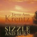 Cover Art for 9780749908515, Sizzle and Burn by Jayne Ann Krentz