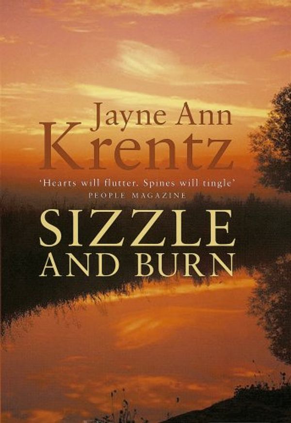 Cover Art for 9780749908515, Sizzle and Burn by Jayne Ann Krentz