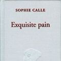 Cover Art for 9780500511985, Exquisite Pain by Sophie Calle